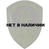 Нашивка на рукав с липучкой Росгвардия Управление Спецназа ОДОН им Дзержинского полевая фон оливковый пластик