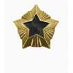 Знак различия Звезда Росстройнадзор большая металл
