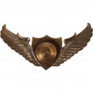 Нагрудный знак ВДВ крылья парашют орёл металл