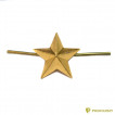 Звезда 13 мм металлическая золотая (ФМ-158)