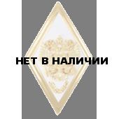 Нагрудный знак Академия ВС неуставной металл