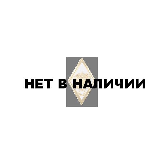 Нагрудный знак Академия ВС неуставной металл