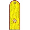 Погоны УИС (ФСИН) генерал-майор на китель парадные