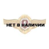 Нагрудный знак Классность р/с ВВ МВД 1 металл