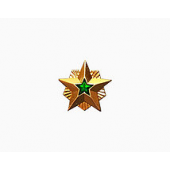 Знак различия Звезда Ростехнадзор малая металл