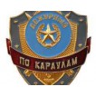 Нагрудный знак Дежурный по караулам металл
