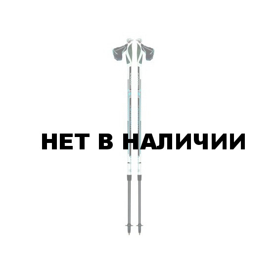 Телескопические палки для скандинавской ходьбы TRAINING 01N0616