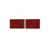 Орденская планка Медаль к ордену За заслуги перед Отечеством II ст.