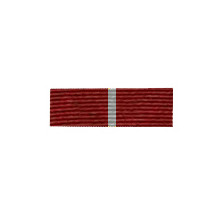Орденская планка Медаль к ордену За заслуги перед Отечеством II ст.