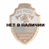 Нагрудный знак МЧС России Пожарная охрана Дневальный по гаражу