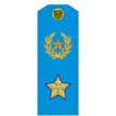 Погоны МО генерал армии нового образца голубой кант повседневные на голубую рубашку