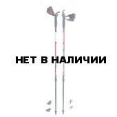 Телескопические палки для скандинавской ходьбы TELESCOPIC 01N0916