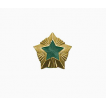 Знак различия Звезда Охотнадзор малая металл