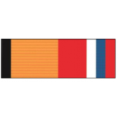 Орденская планка Медаль За службу в Национальном центре управления обороной РФ