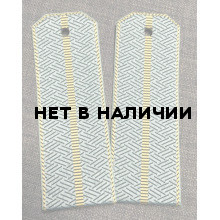 Погоны ФТС фисташковые с 1 просветом