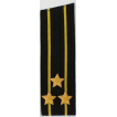 Погоны ВМФ вышитые Капитан 1 ранга повседневные на китель со скосом