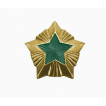 Знак различия Звезда Охотнадзор большая металл