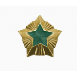 Знак различия Звезда Охотнадзор большая металл