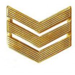 Знак различия ВС сержант повседневный металл