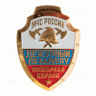 Нагрудный знак МЧС России Пожарная охрана Дежурный по караулу