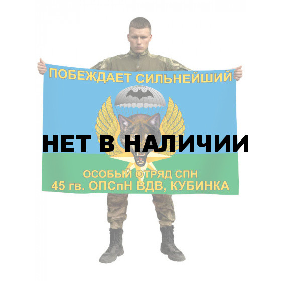 Флаг 45 ОПСпН ВДВ Кубинка