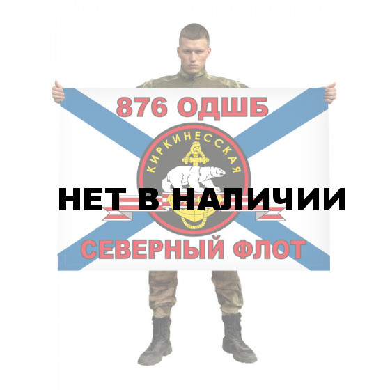 Флаг Морской пехоты 876 ОДШБ СФ