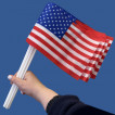 Комплект флажков США на палочке (10шт)