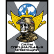 Шеврон "Силы специальных операций" (10х8см)