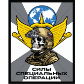 Шеврон "Силы специальных операций" (10х8см)