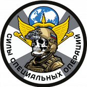 Шеврон "Силы специальных операций" (8х8см)