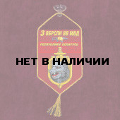 Автомобильный вымпел 3-я ОБрСпН ВВ МВД Республики Беларусь