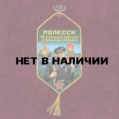 Автомобильный вымпел 49 ОДнПСКр Полесск