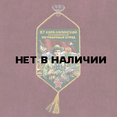 Автомобильный вымпел 67 Кара-Калинский пограничный отряд