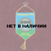 Автомобильный вымпел войск специального назначения ГРУ