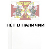 Флажок на палочке Росгвардия Операция ZV