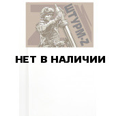 Флажок Штурм-Z