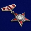Мини-копия ордена 100 лет Советской армии и флота