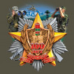 Мужская футболка хаки олива "Пограничные войска России"