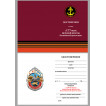 Латунный знак 177-й полк морской пехоты Каспийской флотилии
