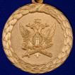 Медаль Минюст РФ За службу (1 степень)