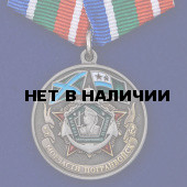 Медаль Морчастей погранвойск (Ветеран)