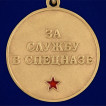 Медаль За службу в 15-м ОСН Вятич