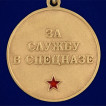 Медаль За службу в 21-м ОСН Тайфун