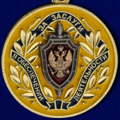 Медаль За заслуги в обеспечении деятельности ФСБ РФ
