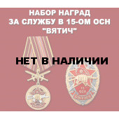 Набор наград 15 ОСН Вятич