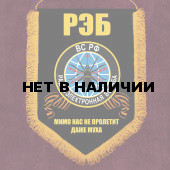 Наградной вымпел "РЭБ"