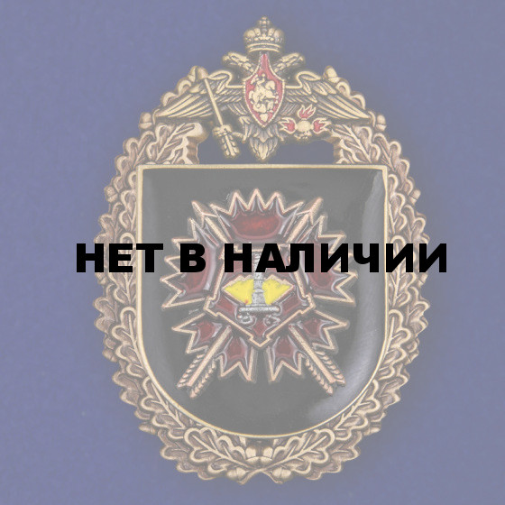Нагрудный знак 24-я отдельная бригада специального назначения ГРУ