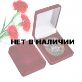 Нагрудный знак 57 Дальнереченский Краснознамённый Пограничный отряд