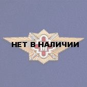 Нагрудный знак ФСИН Мастер на подставке