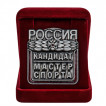 Нагрудный знак Кандидат в мастера спорта России